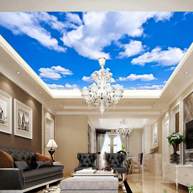 Ceiling Mural Custom 3D Photo  - Custom Map Poster review and price
