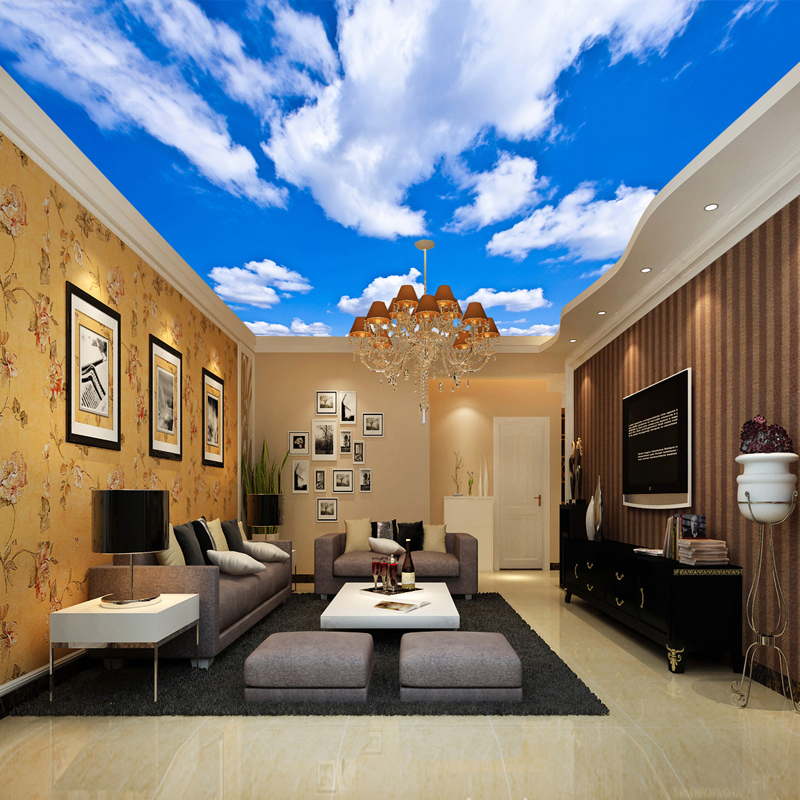 Ceiling Mural Custom 3D Photo  - Custom Map Poster review and price