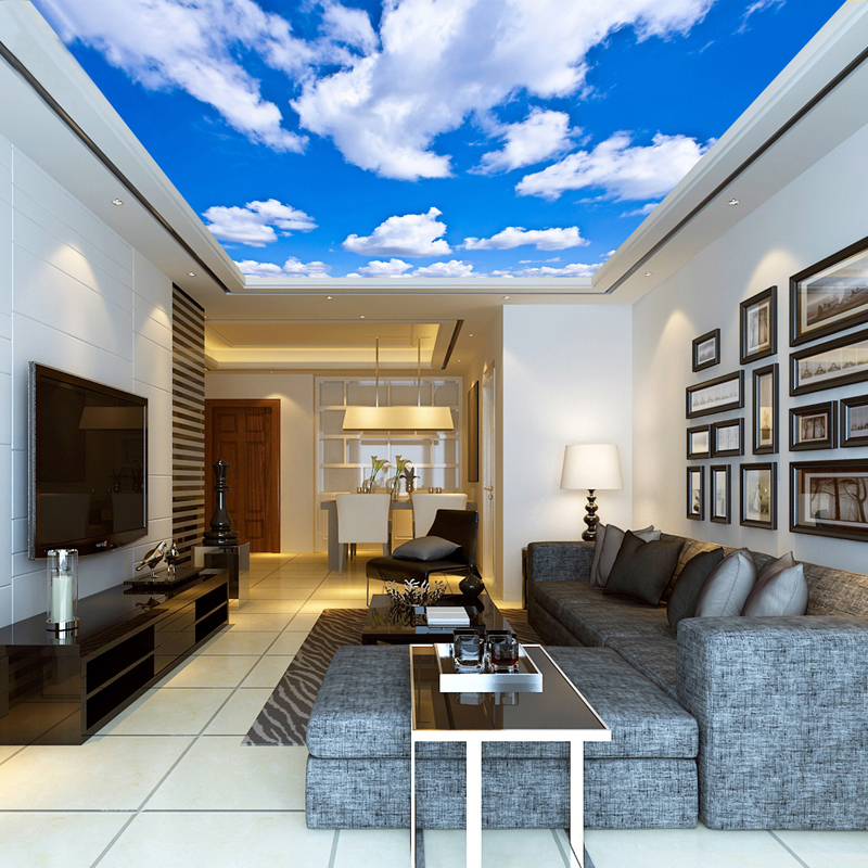 Ceiling Mural Custom 3D Photo  - Custom Map Poster review and price