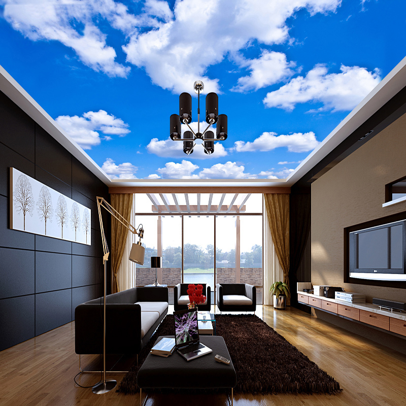 Ceiling Mural Custom 3D Photo  - Custom Map Poster review and price